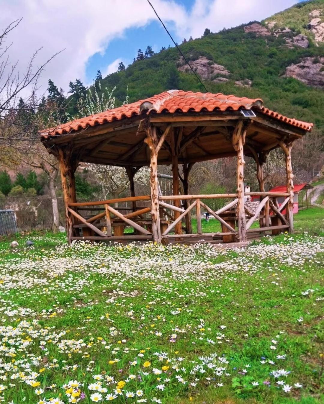 Michel Studios Kalavryta Exterior foto